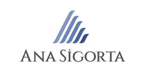 Ana sigorta
